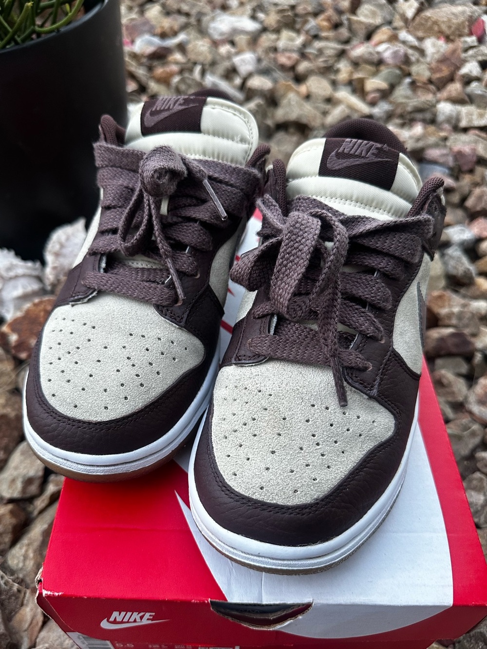Nike Dunk Low